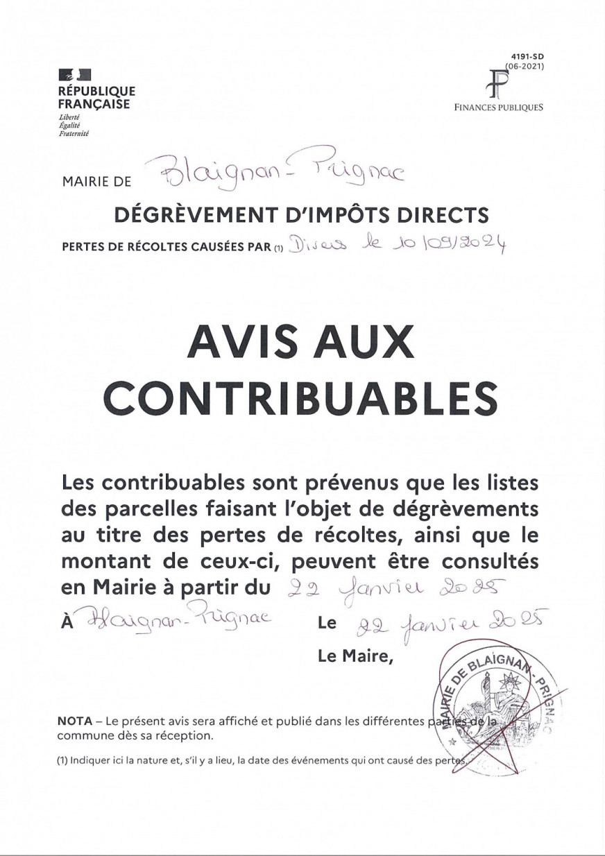AFFICHE VIGNE.jpg